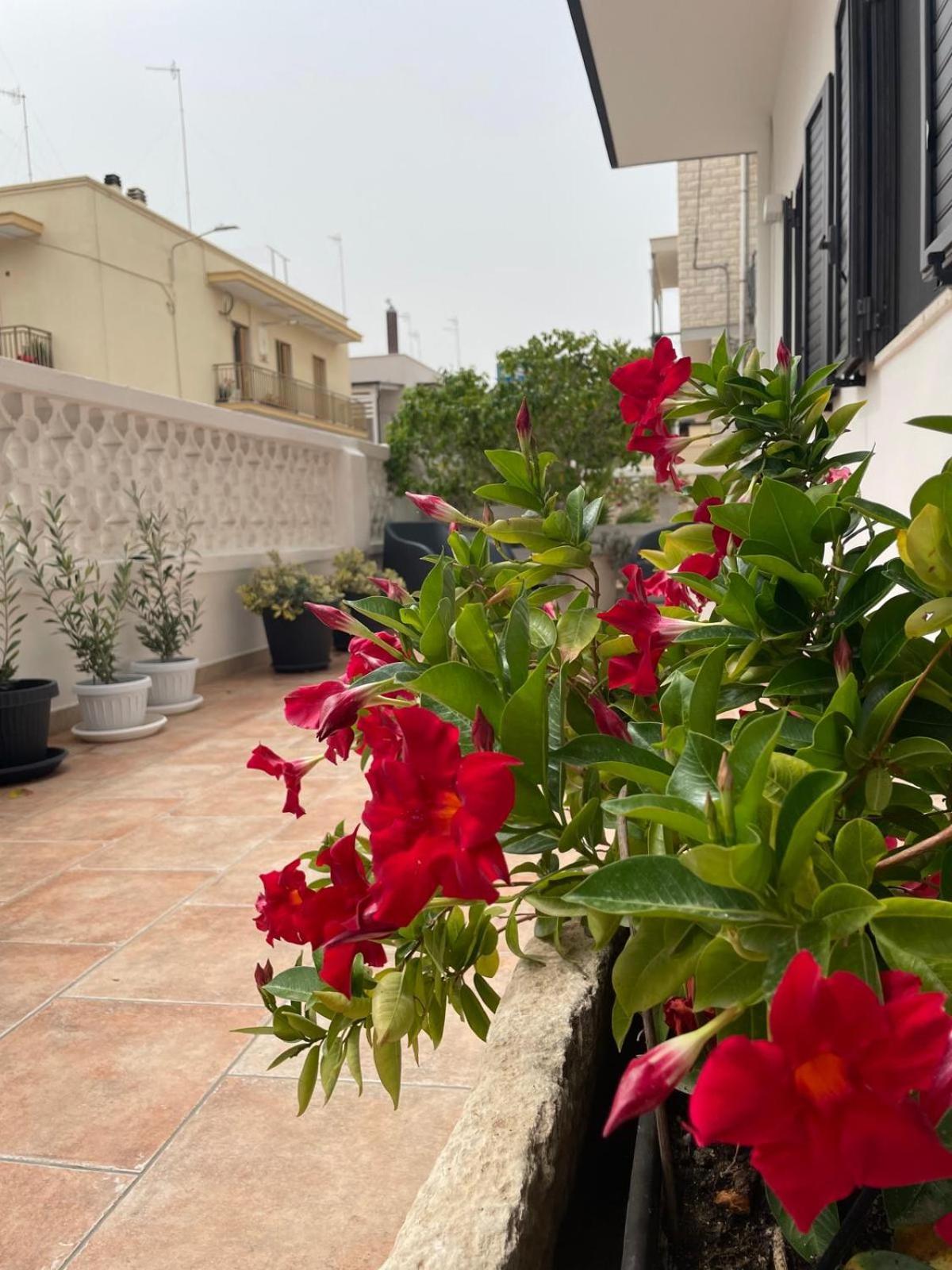Rosa Dei Venti Villa Polignano a Mare Exterior photo